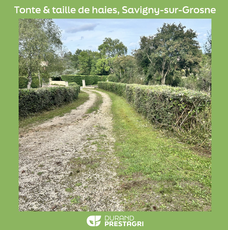 Capture d’écran 2025-11-03 à 10.50.14