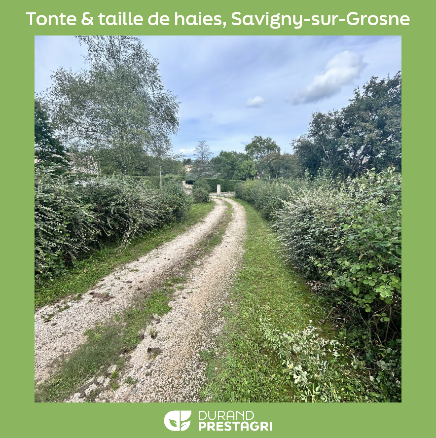 Capture d’écran 2025-11-03 à 10.50.00