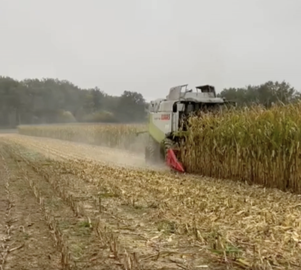 Capture d’écran 2025-11-03 à 10.53.11