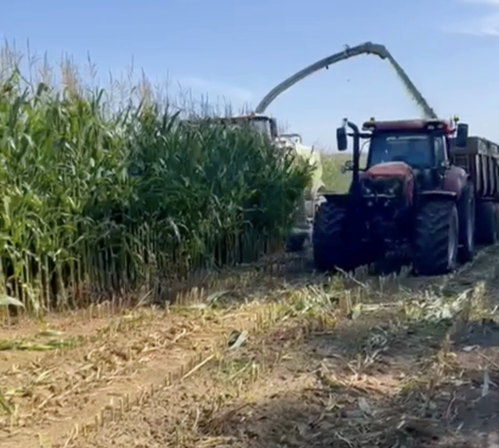 Capture d’écran 2025-11-03 à 10.53.31