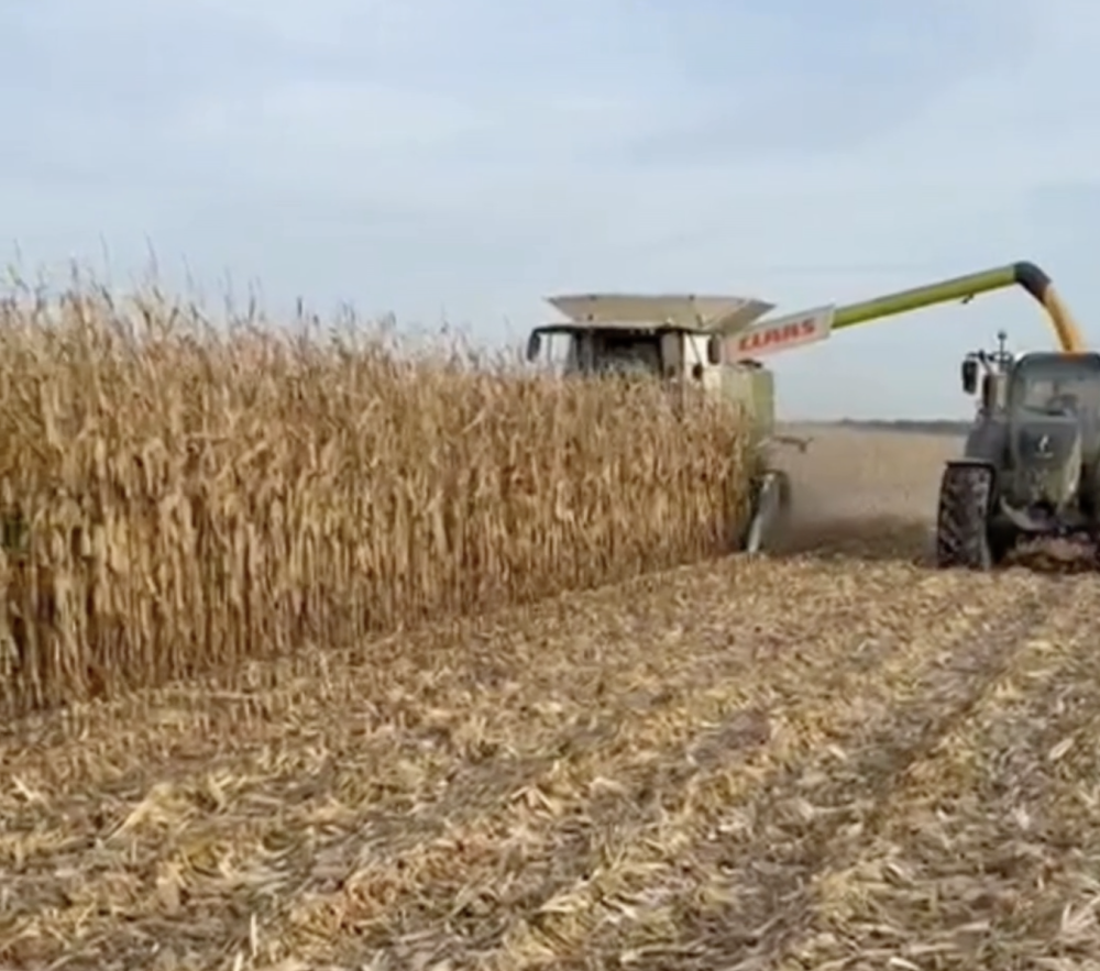 Capture d’écran 2025-11-03 à 10.53.49