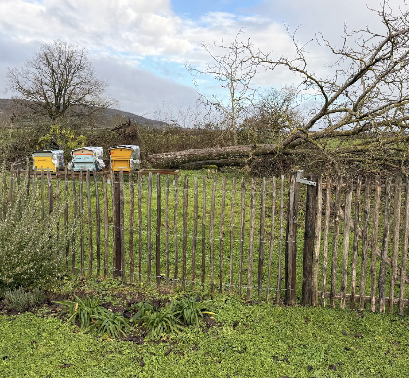 Capture d’écran 2026-02-04 à 14.44.43