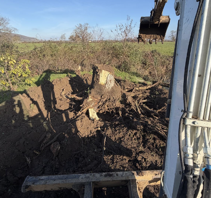 Capture d’écran 2026-02-04 à 14.45.02