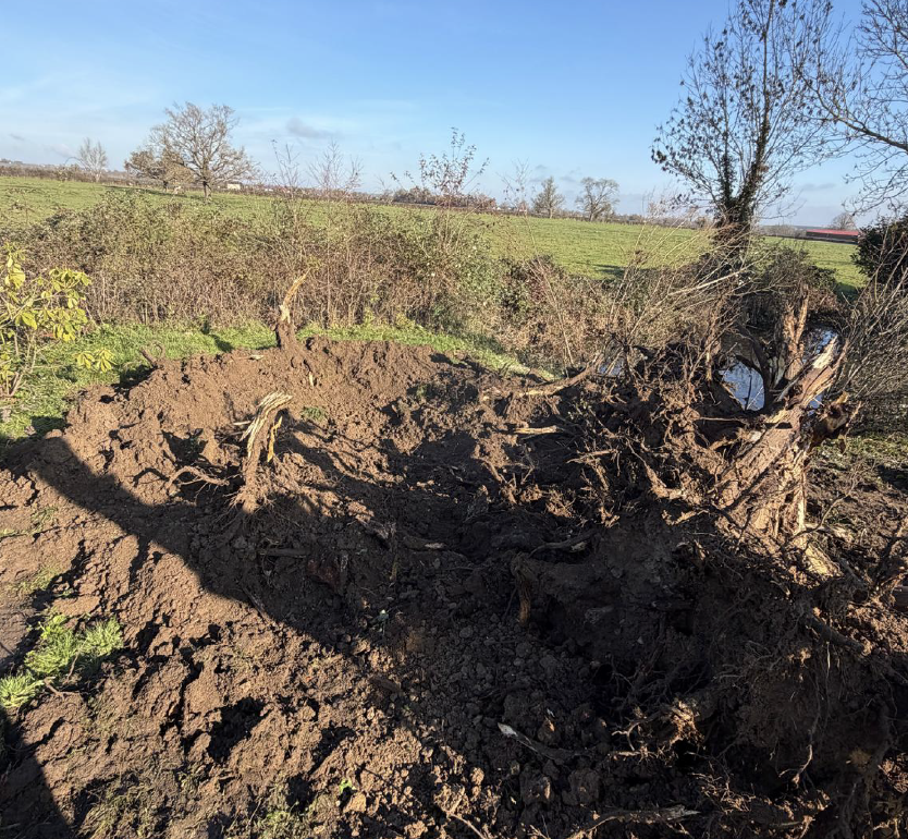 Capture d’écran 2026-02-04 à 14.45.13