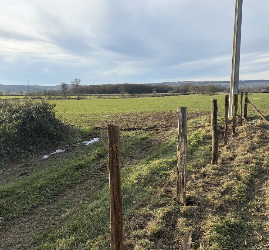 Capture d’écran 2026-03-05 à 10.22.47