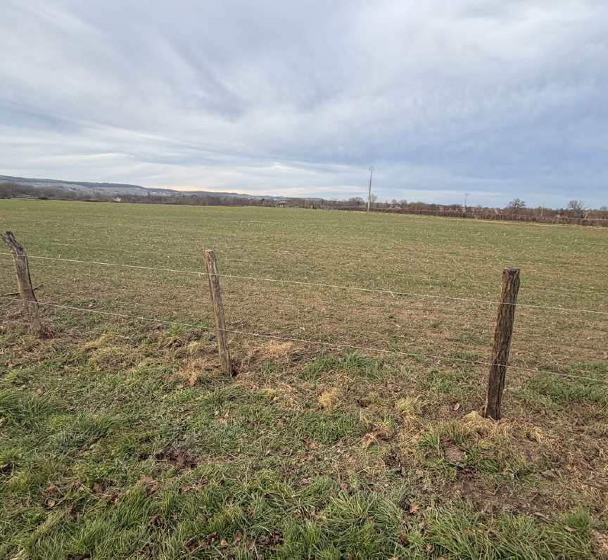 Capture d’écran 2026-03-05 à 10.22.23