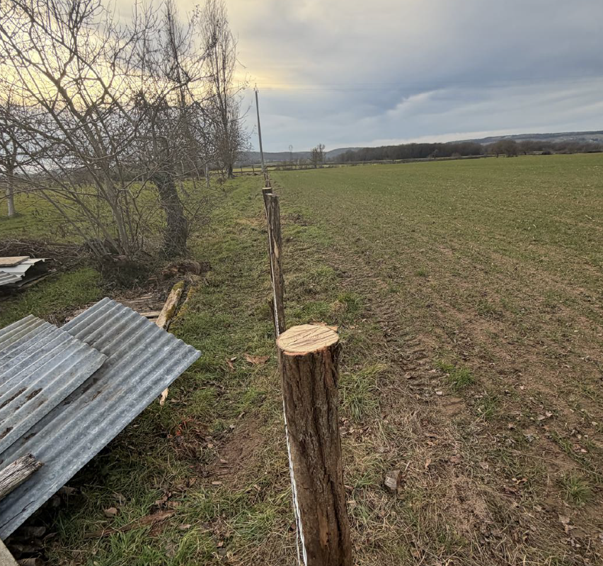 Capture d’écran 2026-03-05 à 10.22.18